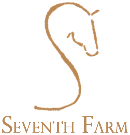 Seventh Farm: the best horse riding school for adults in Twin Cities Minnesota