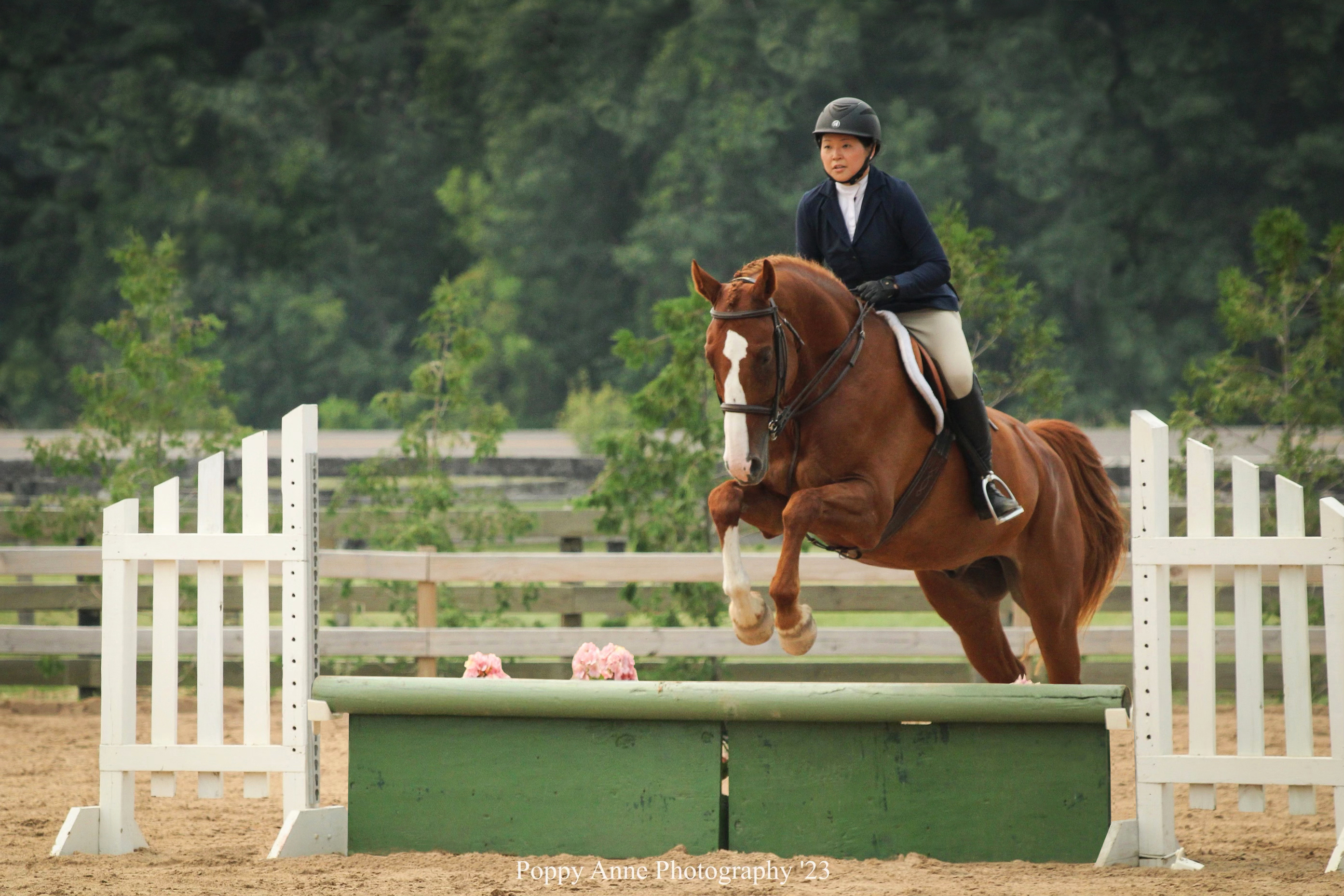 Lydia jumping her horse