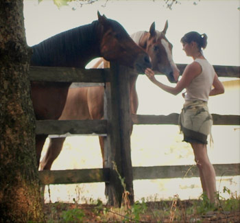 Seventh Farm: rider petting horses