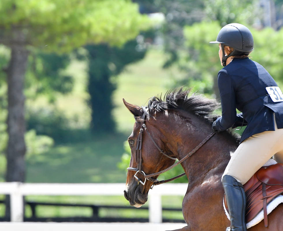 Seventh Farm: rear view of a young rider jumping her horse