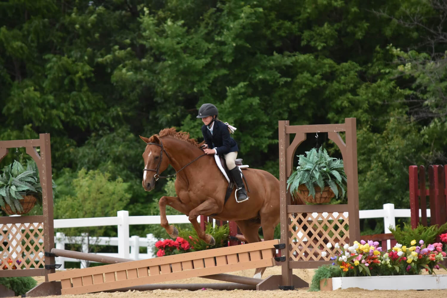 Seventh Farm: junior rider jumping her horse over a wooden bar