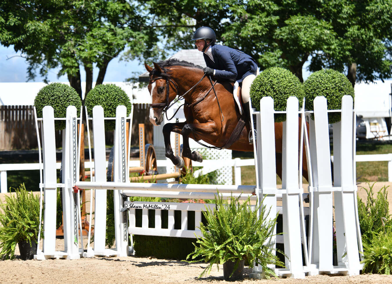 Seventh Farm: profile view of a junior rider lithely springing over an obstacle