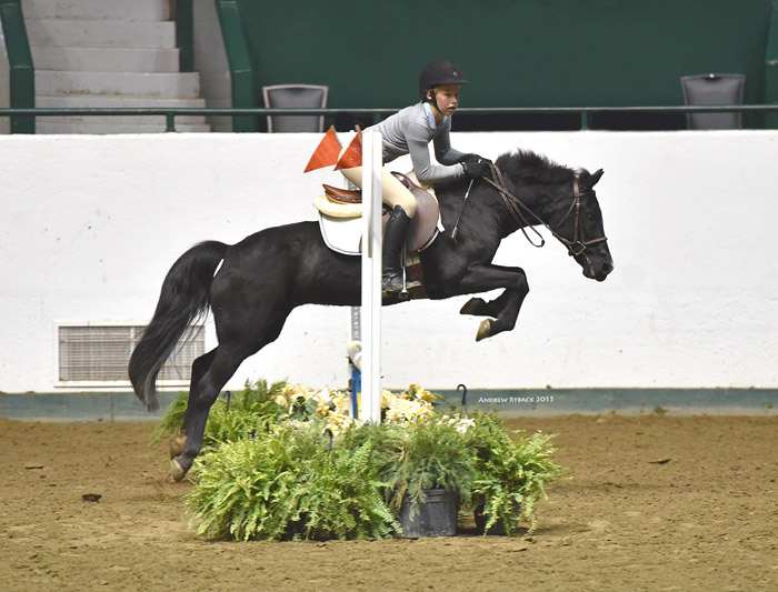 Seventh Farm: a rider named Katie at the Harvest Show